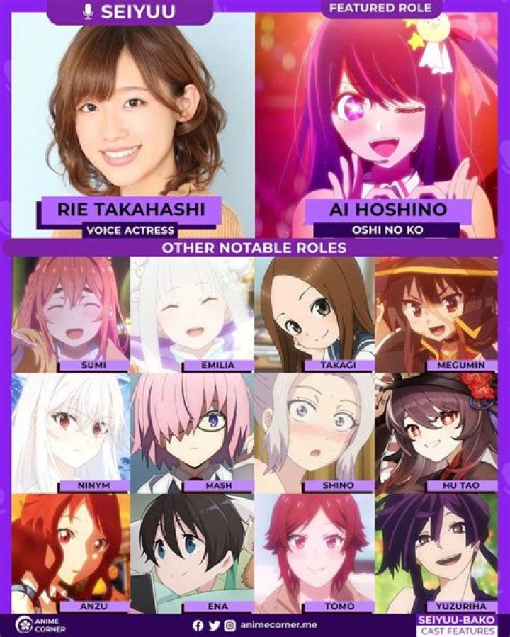 Aya Takanashi Wikipedia: Where Is The Mr. Baseball Actress Now?