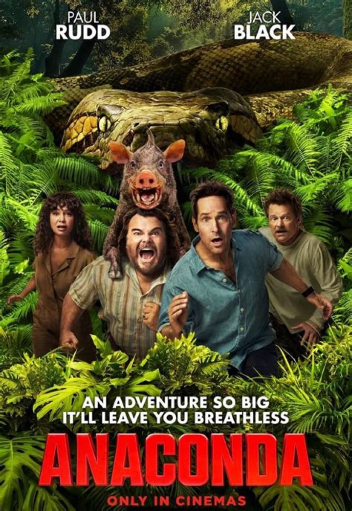 Meet Madalena Almeida From Until Life Do Us Part – Wikipedia Bio Explored