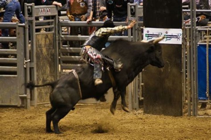 PBR: Kyle Jones Bull Rider Net Worth and Wikipedia Exposed