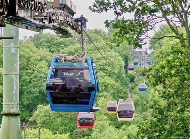 Scott Olson Skyride Net Worth Wikipedia & Wife Age: Rollerblades Inventor