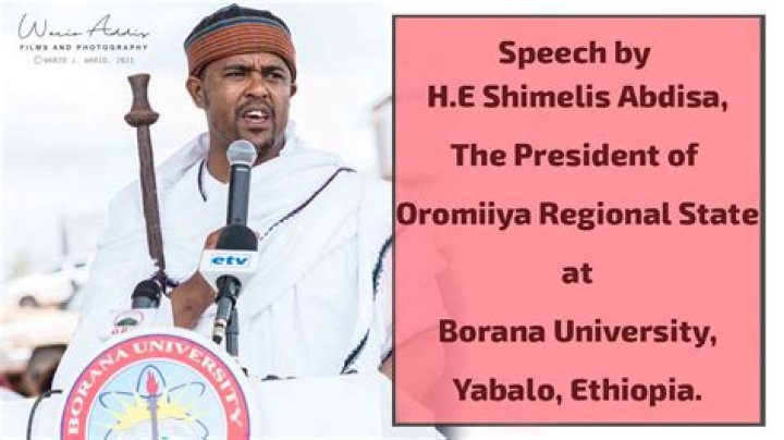 Shimelis Abdisa’s biography, net worth, fact, career, awards and life story