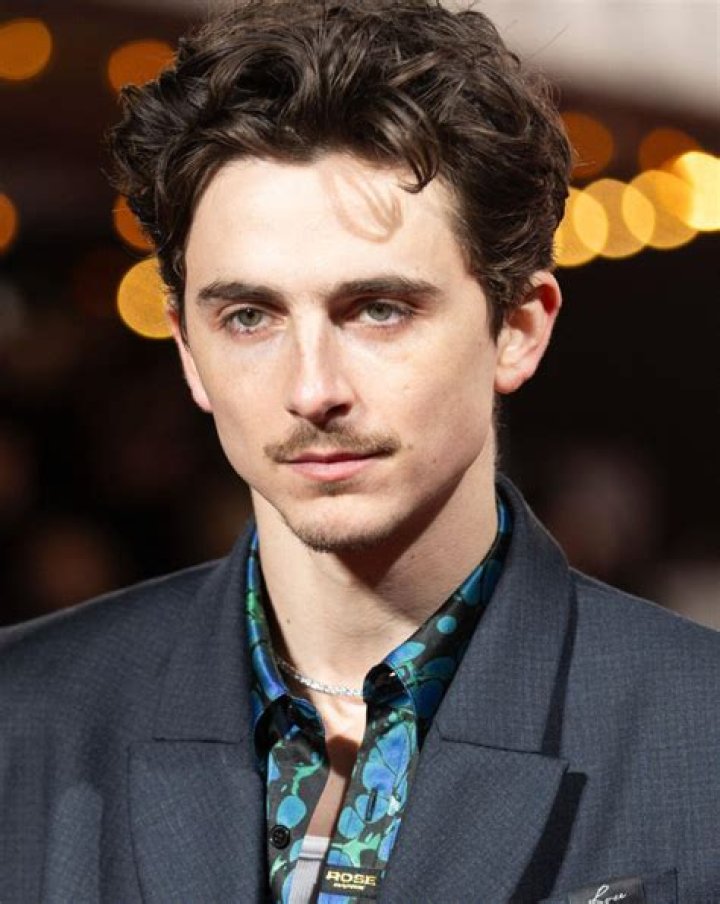Timothée Chalamet (Actor) Wiki, Biography, Age, Height, Weight, Girlfriend, Net Worth, Career