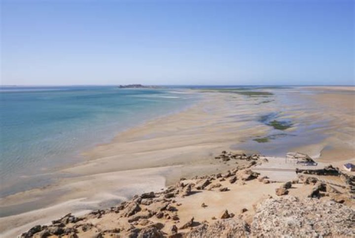 What is wazir dakhla in english