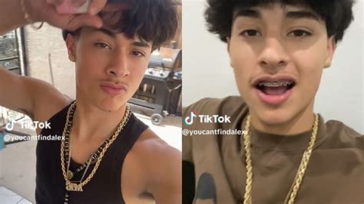 Who Is youcantfindalex On Tiktok? Age – How Old Is He?