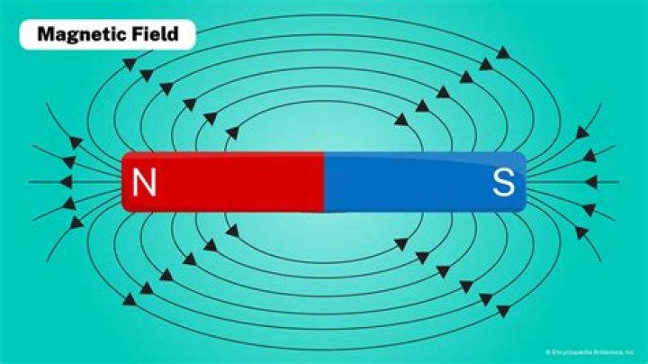 Who Was Susan Anway From Magnetic Fields? Cause Of Death Revealed